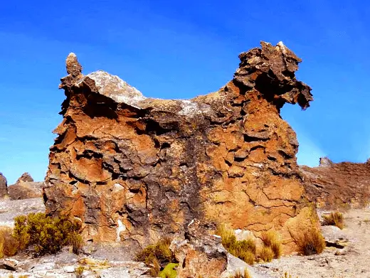 arequipa imata rock forest